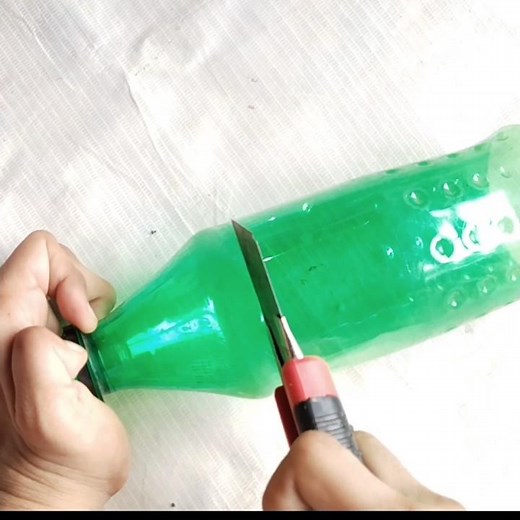 DIY Date Palm Tree from a Plastic Bottle