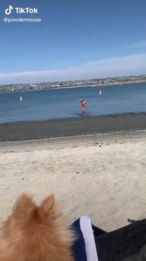 NeedyNovemberGirl on TikTok