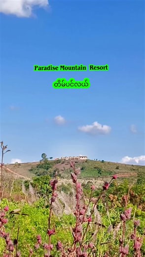 ကျနော်နဲ့အတူခရီးသွားပါ သဘာဝအလှပတေ ခံစားပါ#တာချီလိတ်ဆိုင်ကယ်taxi #တာချီလိတ်မြို့တစ်နေရာ #createrinsightsearch #fyppppppppppppppppppppppp #viral @Tachileik Taxi Services @Tachileik Taxi Services @Tachileik Taxi Services