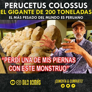 57K views · 1.6K reactions | Los secretos detrás del mayor descubrimiento peruano: "El ser vivo más pesado del mundo". #PerucetusColossus | Dilo Nomas | Facebook