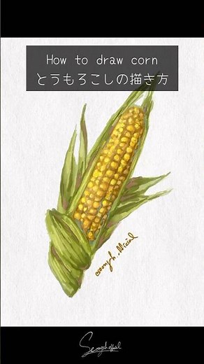 How to draw corn とうもろこしの描き方 #watercolor #水彩 #aquarelle #手描き感 #アナログ風 #水彩 #オリジナルイラスト #수채화 #食べ物イラスト