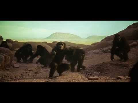 2001: A Space Odyssey 1968 - Apes fight - full