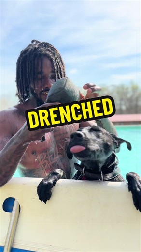 Puppy Swimming: First Time in Water Fun