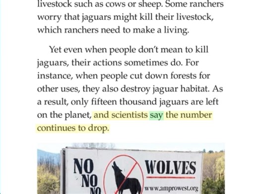 RAZ-Q68 Return of the Jaguar