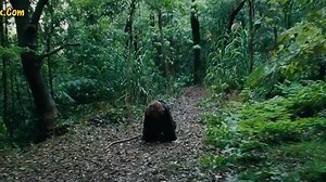 MovizMix.Com_Silence.2016.720p.BluRay