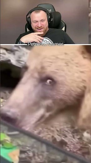 Петренто потапыч #петренто #petrento #реакция #прикол #приколы #мем #мемы #юмор #смех #memes #funny