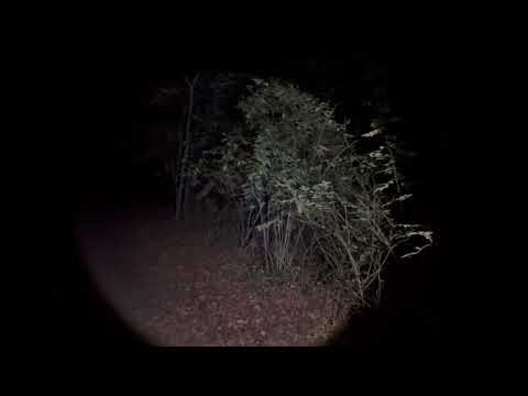 Ghosts, Wendigos, and More: Exploring the Supernatural Side of Long Island