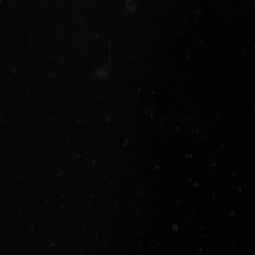 Letra de Música: Bella Ciao - Tradução e Significado