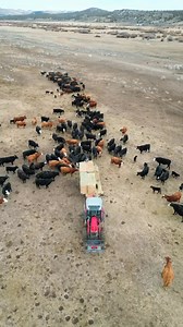 33K views · 449 reactions | Breakfast time! | Rancher Ryan | Facebook