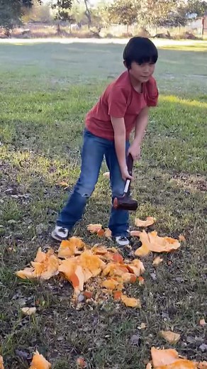 Took a quick break to smash some pumpkins 🎃 | Sadie Miller Designs
