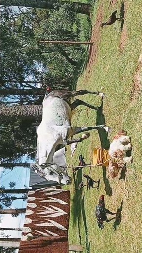 15 de março de 2026