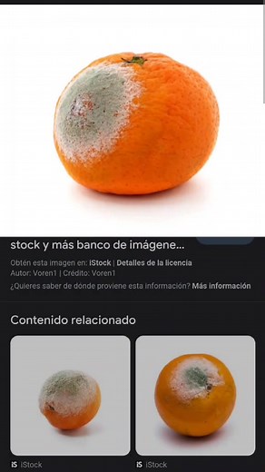 Cómo usar Sulfatiazol en heridas - Polvo cicatrizante y pomada