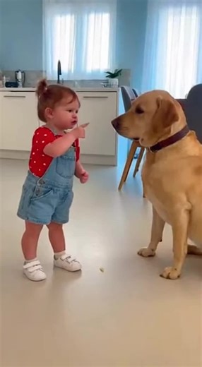 Heartwarming Puppy Lecture for Dog Lovers