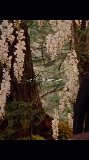 Mae✨ || Twilight Saga⛈️ on Instagram: "the most beautiful wedding #twilightsaga #twilight #bellaswan #edwardcullen #twilightwedding #thetwilightsaga #twihards #tts #breakingdawn #turningpage #twilightaesthetic"