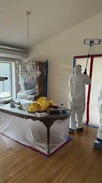Inside a Full Mold Remediation: Crawl Space to Main Floor | Travelers Rest, SC
