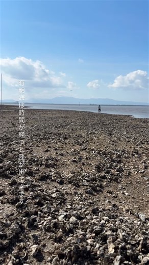 一般社団法人 柳川市観光協会（公式） on Instagram: "有明海は干満差が最大6mある奇跡の海です。 少し時間が経つと徐々に陸が見えてきます。 #有明海 #柳川 #yanagawa"