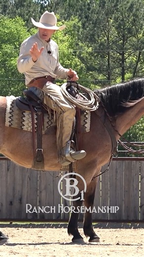 7.3K views · 187 reactions | The fundamentals of neck reining. #B1 #BEONE #6666EquineSupplements #fuelforlegendaryhorses #ES20 #Respectthecode | B1 Horsemanship | Facebook