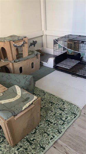 Configuración adecuada del área para conejos