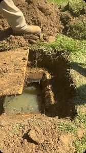 3.2K views · 944 reactions | Diagnosing a septic system issues #septicboys #septicinspection #septicrepair #septicservice | SPEK Septics | Facebook