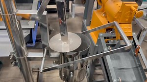 Manchurian ball making machine 9202353574 | Punjab Engineering Corporation