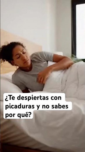 ¿Te despiertas con picaduras y no sabes por qué? #chinches