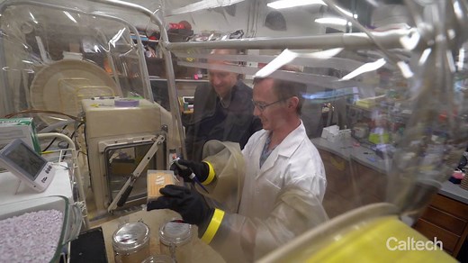 33K views · 696 reactions | ICYMI: Caltech scientists, led by Sarkis Mazmanian, have discovered for the first time a functional link between bacteria in the intestines and Parkinson's disease, which could have profound implications for treatment. | Caltech | Facebook