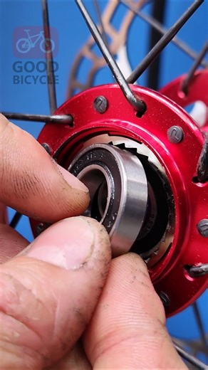 @good.bicycle.service on Instagram: "How to install new industrial sealed bearings into a bicycle wheel hub Installing new industrial sealed bearings into a bicycle wheel hub becomes easy when the hub is prepared and the bearings are pressed in evenly. This guide explains how to fit the bearings correctly so the wheel spins smoothly and stays durable. #bikebearings #bikehubservice #bicyclewheelhub"
