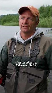 Championne de l’élevage, la Norvège perd ses saumons sauvage