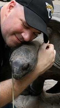 The World's Largest Tortoise!
