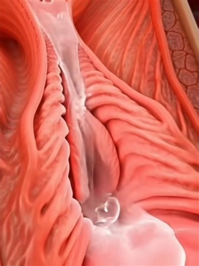 Ultra-Realistic 3D Animation of the Female Reproductive System | Why Vaginal Discharge Occurs #gyn