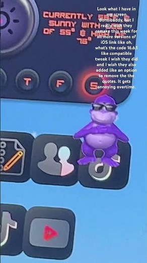 Bonzibuddy tweak from jailbreak iOS running on 16.6.1 on my phone and the dirt the 6+