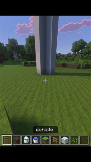 Invisible Ladder In Minecraft 😱#fyp | minecraft