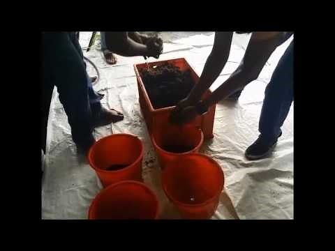 Volume Testing in Coco Peat Standard 5 Kg block