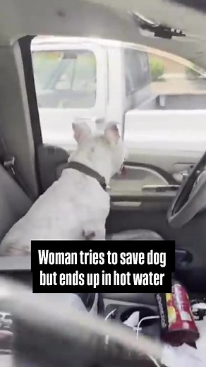 Dog Rescue from Hot Truck in North Carolina