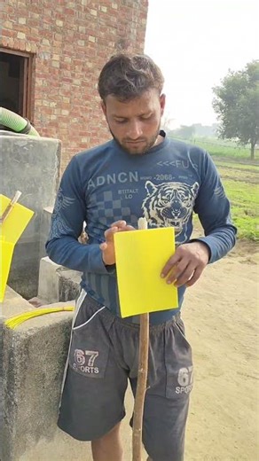 Yellow insect trapper 🐝🦗#monu_farm_firozabad #potato #seeds #trap #insects#farmer #potatoseeds#shots