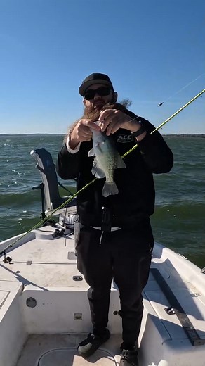 Windy days make it hard to jig fish. Another limit on Kai's Custom Jigs today the 2" Black & Chartreuse Tadpole & the Purple Monkey Milk 2" Stinger Minnow did the job! I used my 10ft ACC Crappie Stix to flip every one of these into the boat! You can get 10% off of Kai's Custom Jigs on their website using promo code DUST10 or you can get them for 10% at Bubba’s Bait Stop in Benbrook Texas if you mention this video. FULL VIDEO OUT NOW! #crappie #crappiefishing #fishing #benbrook #benbrooklake | Du