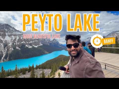 Peyto Lake, Banff National Park 🇨🇦 | Koi Mil Gaya Shooting Location | #Banff Complete Travel Guide