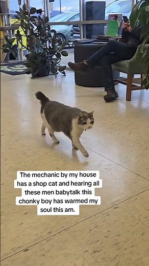 @snorth00: his little greasy paws look like he's been working #cat #catlover #kitty