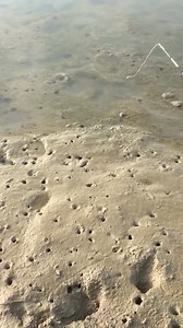 Wow ..!!Lubang campur sari #fyp #fishing #mancing | Nor Khamed