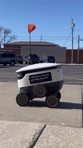 Software Update Troubles with Starship Robots
