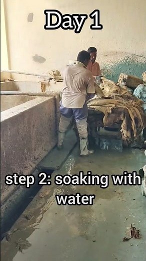 leather tanning process in india day by day