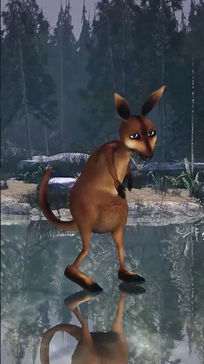 American Funny Kangaroo Animation