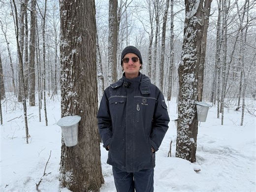 It’s time to tap the trees at Rideau Hall and start collecting sap
