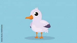 little and cute seagull animation