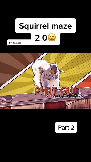 Hello Stranger på TikTok