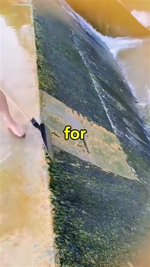 #texting#textingstory#storytime#textstory#plottwist | texting story