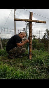 3.4K views · 251 reactions | Lo AT4CAR0N otros perros, el final te...