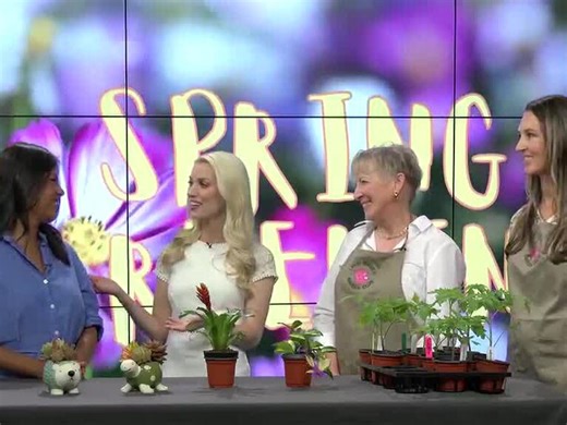 Lynn Haven Garden Club’s upcoming plants and more sale!