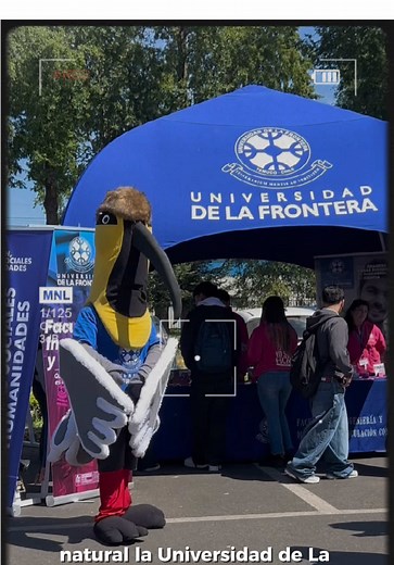 Último Ensayo PAES UFRO 2025: Diversión y Premios