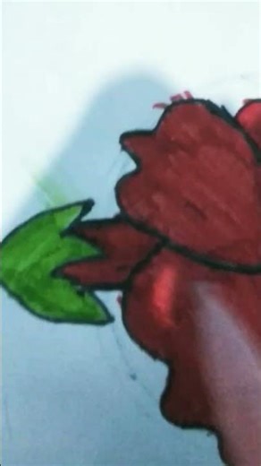 this is how to draw a hibiscus
